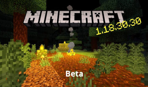 Minecraft Beta & Preview - 1.18.30.30/31