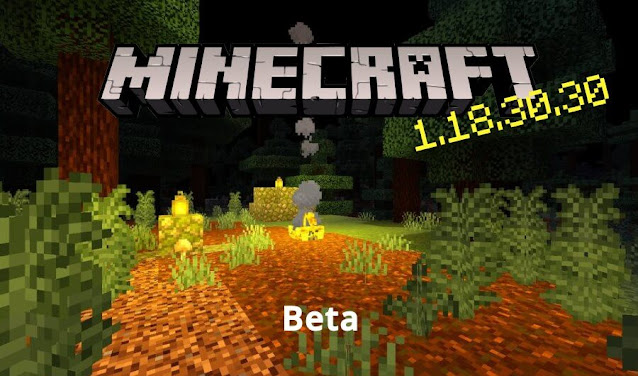 Minecraft Beta & Preview - 1.18.30.30/31
