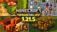 Minecraft: Java Edition 1.21.5 - Spring to Life