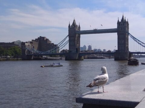 Minecraft koy mekanikleri ve ticaret