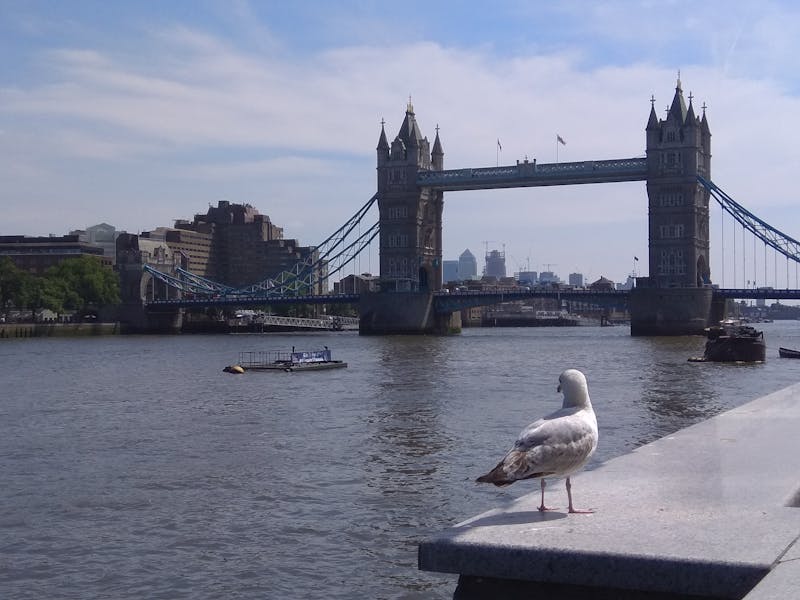 Minecraft koy mekanikleri ve ticaret