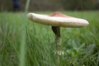 Minecraft Applied Energistics mod dijital depolama rehberi