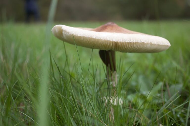 Minecraft Applied Energistics mod dijital depolama rehberi