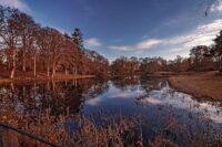 Minecraft Biomes O Plenty mod tanıtımı ve kurulum