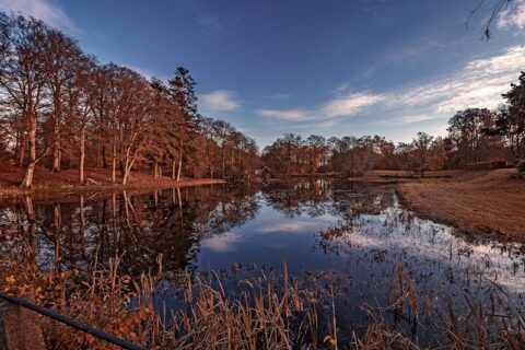 Minecraft Biomes O Plenty mod tanıtımı ve kurulum