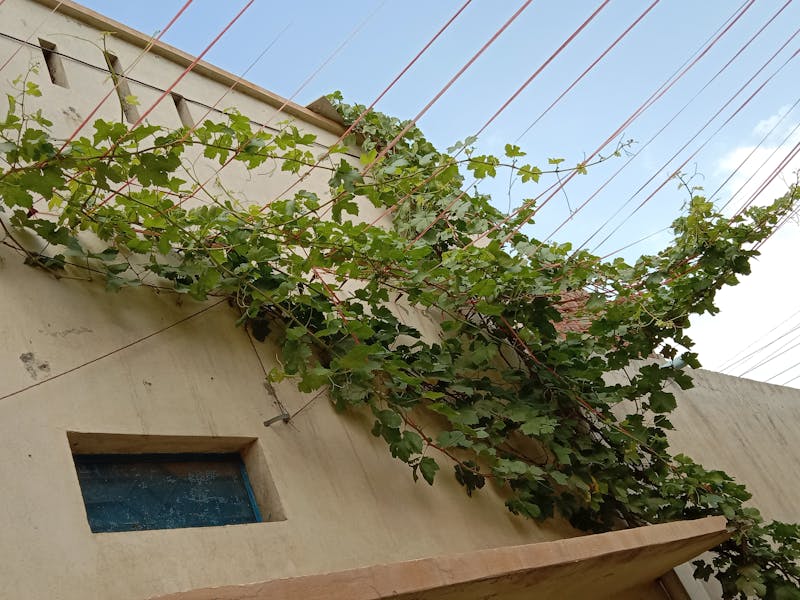 Minecraft TNT kullanım alanları ve patlatma teknikleri