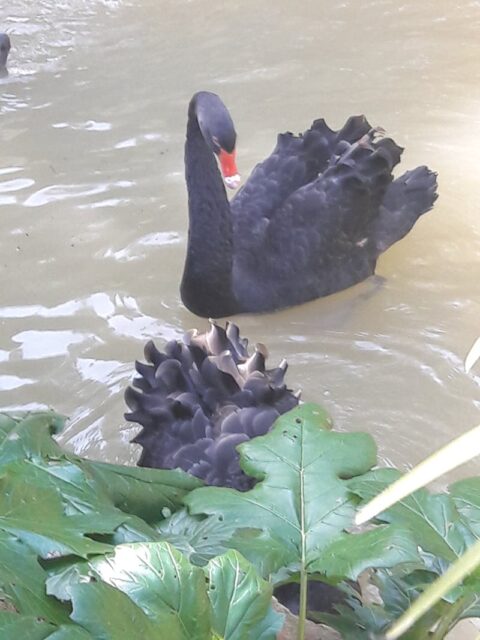 Minecraft hava durumu ve yıldırımdan korunma rehberi