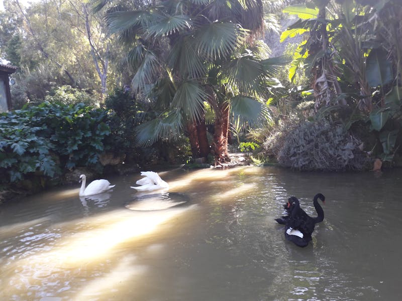 Minecraft otomatik şeker kamışı farm yapımı