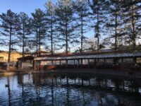 Minecraft shield ve kalkan mekanikleri rehberi